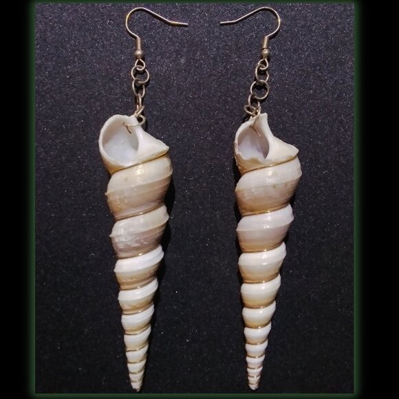 Twisted Shell Earrings - Picture 1 of 1